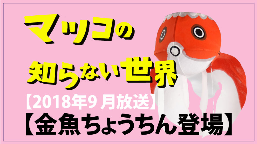 2018年.「マツコの知らない世界」に佐川醤油店の金魚ちょうちんが登場しました!