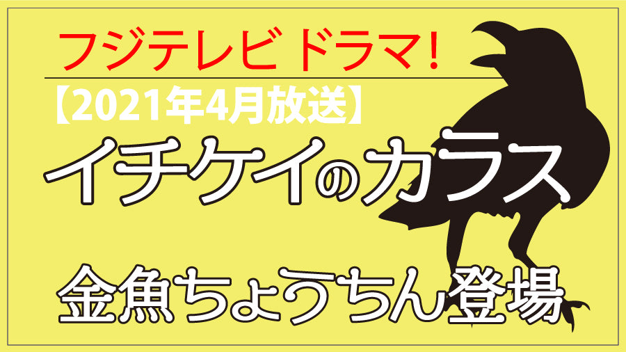 2021年.「イチケイのカラス」(フジテレビ)に金魚ちょうちんが登場しました。
