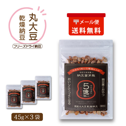 国産丸大豆 乾燥納豆 45g×3袋(メール便)